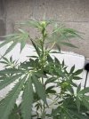 IMG_5574.jpeg