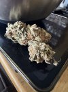 IMG_0197.jpeg