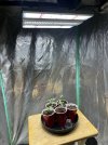 IMG_0193.jpeg