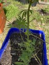 IMG_0192.jpeg