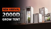 2000D tent.jpg