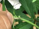 IMG_0304.jpeg