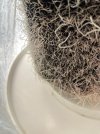 IMG_0266.jpeg