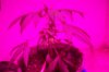 100_1124.jpg