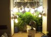 2009 Grow 001.jpg