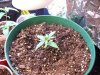 100_1841.jpg