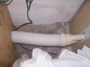 100_3629.jpg