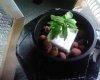 IMG00090.jpg