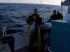 estimated 130 lbs's Yellofin tuna.jpg