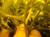 DSC00793.jpg