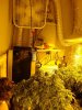 hwy420-albums-g-room-continued-picture96066-my-ventilation-system.jpg