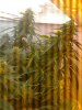 0757.jpg