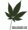 189661983-thumb_indica_cannabis_leaf.gif