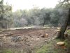 DSCN0687.jpg