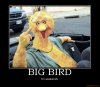 big-bird-demotivational-poster-1235.jpg