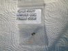 Mystery Kush - Short Stuff - Seed Package 01-  Jan 11 1010.jpg