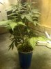 01-25-10_0207.jpg