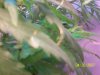 100_2303.jpg