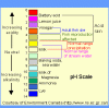 ph chart.GIF