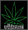 marijuana_leaftms.jpg