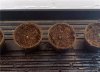 jiffy pots.jpg