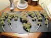 2-pretrimmed buds.jpg