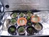 2010-04-15_23.11.52.jpg