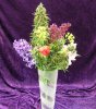 flowersnbudsd.jpg
