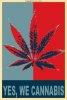 yes-we-cannabis1.jpg