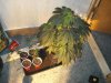 DSC00564.jpg