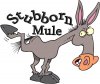 StubbornMule.jpg