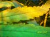 100_2354.jpg