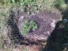 2010-05-15 15.35.42.jpg