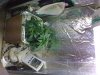 22052010329.jpg