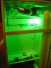 Fridge Green light.jpg