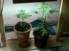 IMG00160-20100522-2124.jpg