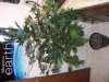 DSCF0780.jpg