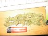g bud and clone 002.jpg