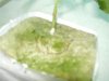 OG-in-Rockwool 003.jpg