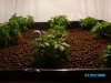 new home-made 4x4 table 004.JPG