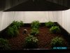 new home-made 4x4 table 006.JPG