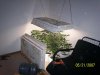 100_2570.jpg