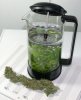 watercure-1.jpg