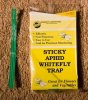 WhiteFly+Trap+002+(Medium).JPG