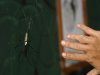 Golden Orb Weaver 01.jpg