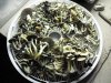 shroomies 011.jpg