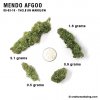 mendoafgoo_09_03_2010_full_1.jpg