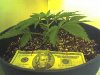 5-22-07 2.jpg