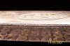 100_3528.jpg