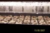 100_3529.jpg